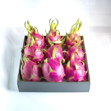 Caja pitahaya premium